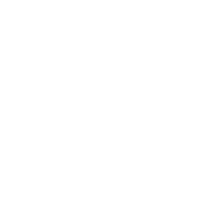 Logo-SVR-ok